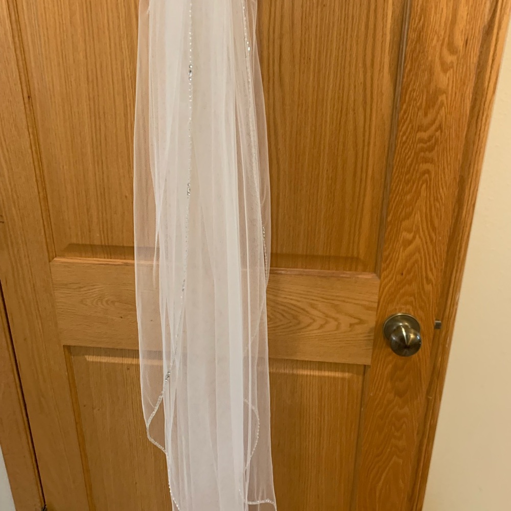 Elegant White Veil with Silver Accents